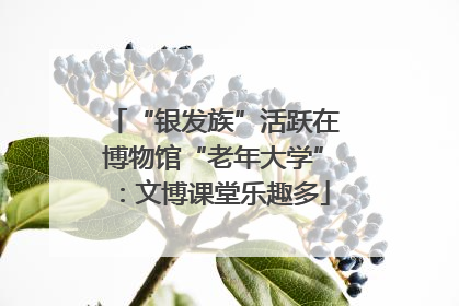 “银发族”活跃在博物馆“老年大学”：文博课堂乐趣多