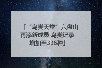“鸟类天堂”六盘山再添新成员 鸟类记录增加至336种