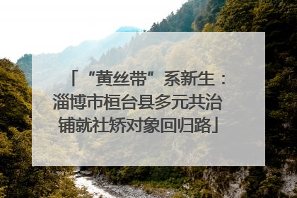 “黄丝带”系新生：淄博市桓台县多元共治铺就社矫对象回归路
