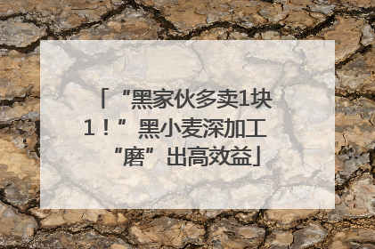 “黑家伙多卖1块1！”黑小麦深加工“磨”出高效益