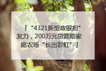 “4321新型政银担”发力，200万元贷款助家庭农场“长出彩虹”