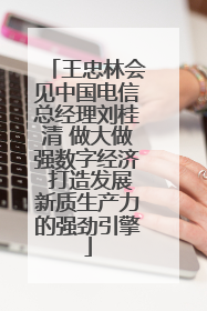 王忠林会见中国电信总经理刘桂清 做大做强数字经济 打造发展新质生产力的强劲引擎