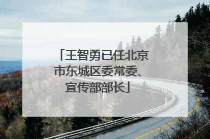王智勇已任北京市东城区委常委、宣传部部长