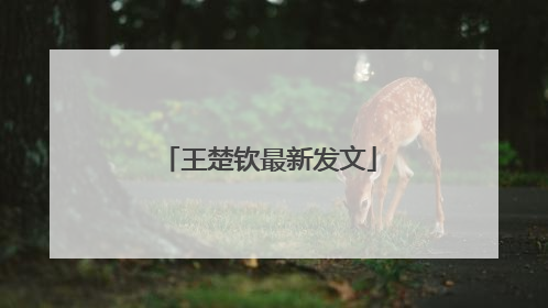 王楚钦最新发文