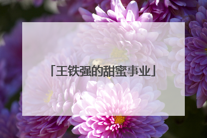 王铁强的甜蜜事业