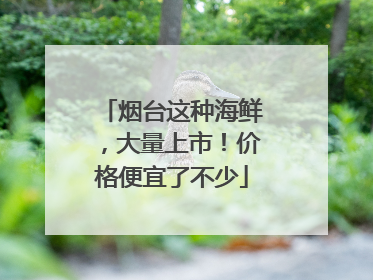 烟台这种海鲜，大量上市！价格便宜了不少