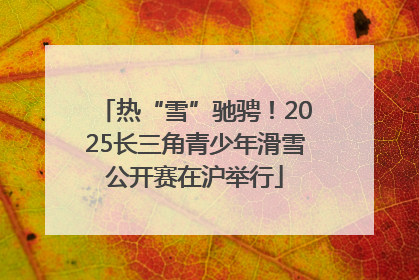 热“雪”驰骋！2025长三角青少年滑雪公开赛在沪举行