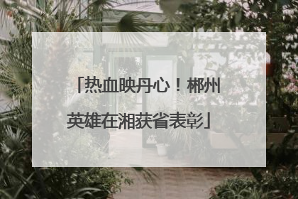 热血映丹心！郴州英雄在湘获省表彰