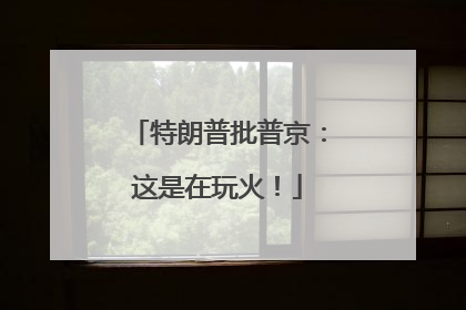特朗普批普京：这是在玩火！