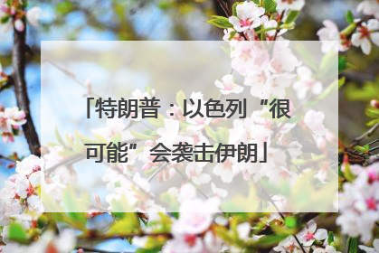 特朗普：以色列“很可能”会袭击伊朗