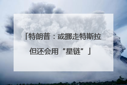 特朗普：或挪走特斯拉 但还会用“星链”