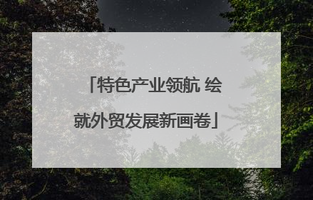 特色产业领航 绘就外贸发展新画卷