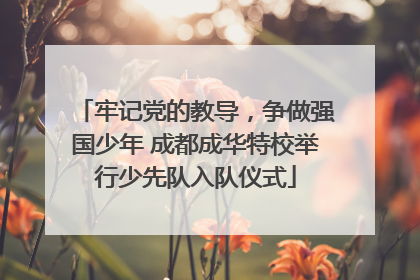 牢记党的教导，争做强国少年 成都成华特校举行少先队入队仪式