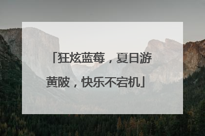 狂炫蓝莓，夏日游黄陂，快乐不宕机
