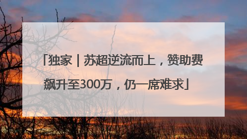 独家｜苏超逆流而上，赞助费飙升至300万，仍一席难求
