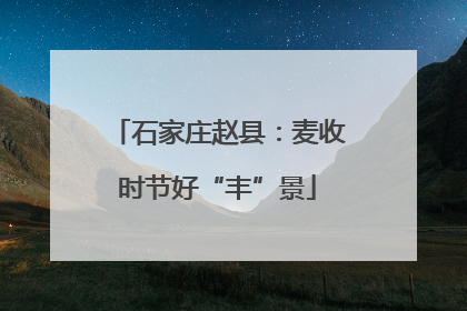 石家庄赵县：麦收时节好“丰”景