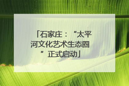 石家庄：“太平河文化艺术生态圈”正式启动