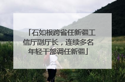 石如根跨省任新疆工信厅副厅长，连续多名年轻干部调任新疆