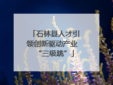 石林县人才引领创新驱动产业“三级跳”