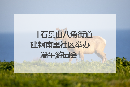 石景山八角街道建钢南里社区举办端午游园会