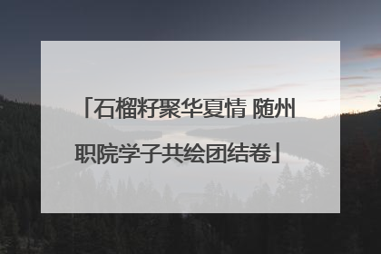 石榴籽聚华夏情 随州职院学子共绘团结卷