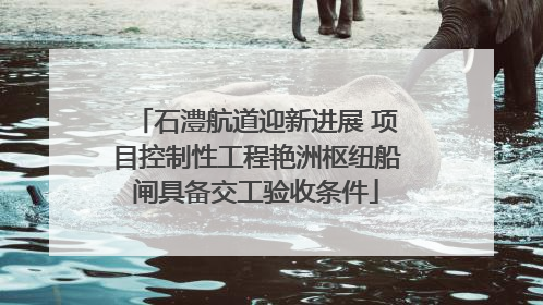 石澧航道迎新进展 项目控制性工程艳洲枢纽船闸具备交工验收条件