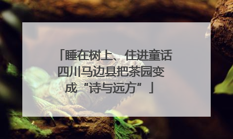 睡在树上、住进童话 四川马边县把茶园变成“诗与远方”
