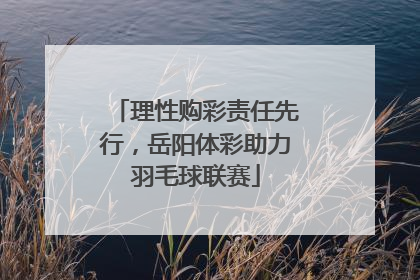 理性购彩责任先行，岳阳体彩助力羽毛球联赛