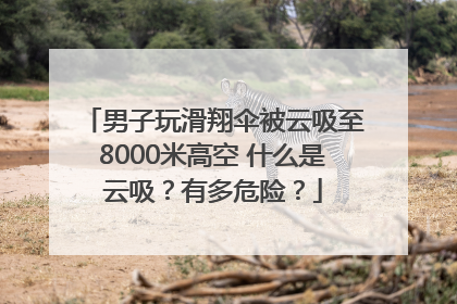 男子玩滑翔伞被云吸至8000米高空 什么是云吸？有多危险？