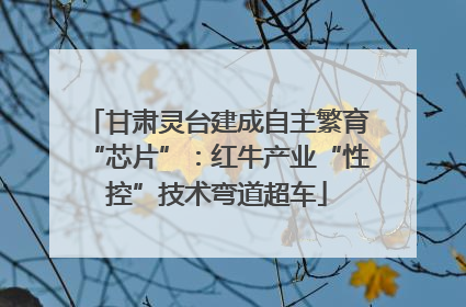 甘肃灵台建成自主繁育“芯片”：红牛产业“性控”技术弯道超车