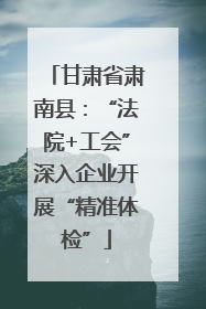 甘肃省肃南县：“法院+工会”深入企业开展“精准体检”