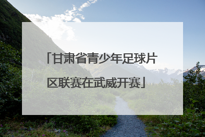 甘肃省青少年足球片区联赛在武威开赛