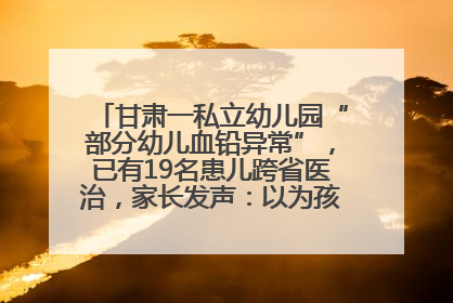 甘肃一私立幼儿园“部分幼儿血铅异常”，已有19名患儿跨省医治，家长发声：以为孩子出问题，没想过会与学校有关