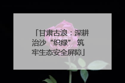 甘肃古浪：深耕治沙“织绿” 筑牢生态安全屏障