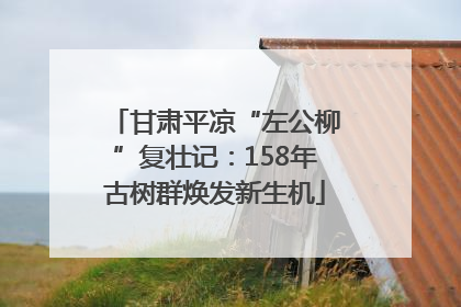 甘肃平凉“左公柳”复壮记：158年古树群焕发新生机