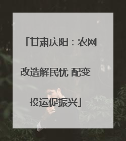 甘肃庆阳：农网改造解民忧 配变投运促振兴