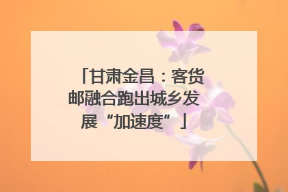 甘肃金昌：客货邮融合跑出城乡发展“加速度”