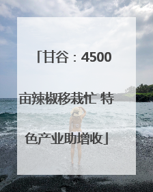 甘谷：4500亩辣椒移栽忙 特色产业助增收