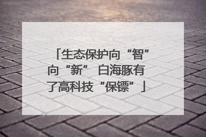 生态保护向“智”向“新” 白海豚有了高科技“保镖”