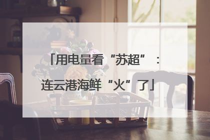 用电量看“苏超”：连云港海鲜“火”了