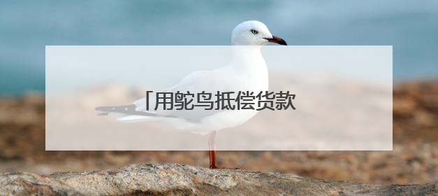 用鸵鸟抵偿货款，案子结了！