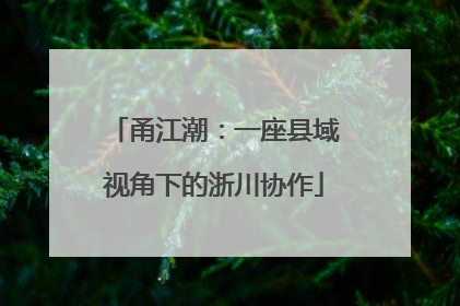 甬江潮：一座县域视角下的浙川协作