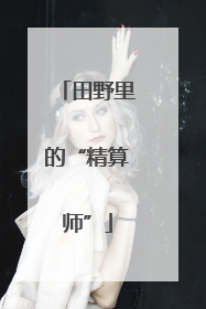 田野里的“精算师”