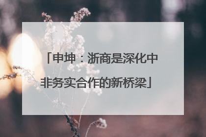 申坤：浙商是深化中非务实合作的新桥梁