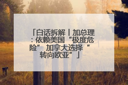 白话拆解丨加总理：依赖美国“极度危险” 加拿大选择“转向欧亚”