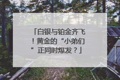 白银与铂金齐飞！黄金的“小弟们”正同时爆发？