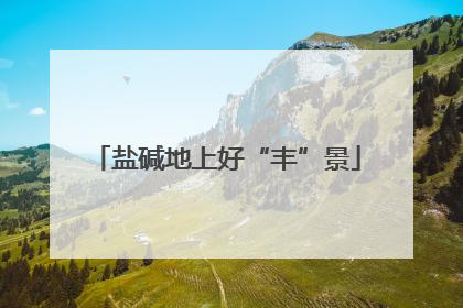 盐碱地上好“丰”景