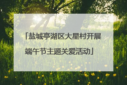 盐城亭湖区大星村开展端午节主题关爱活动