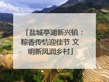 盐城亭湖新兴镇：粽香传情迎佳节 文明新风润乡村