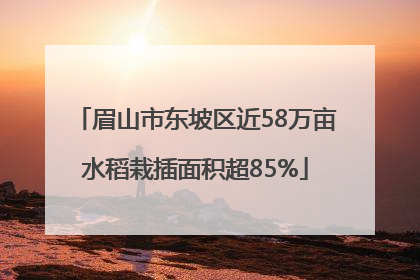眉山市东坡区近58万亩水稻栽插面积超85%